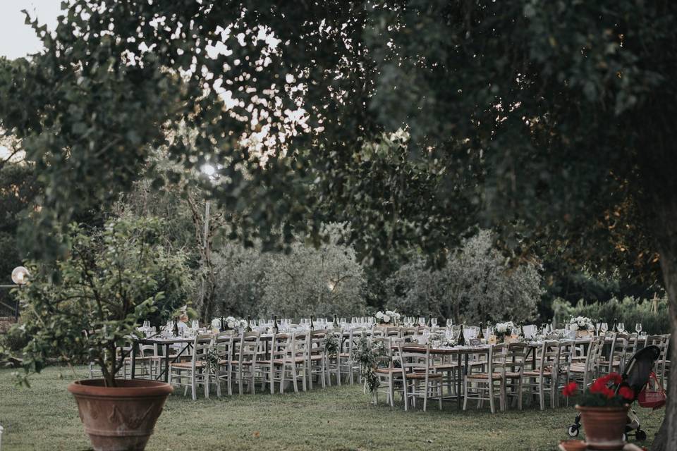 Nel Prato sotto gli alberi