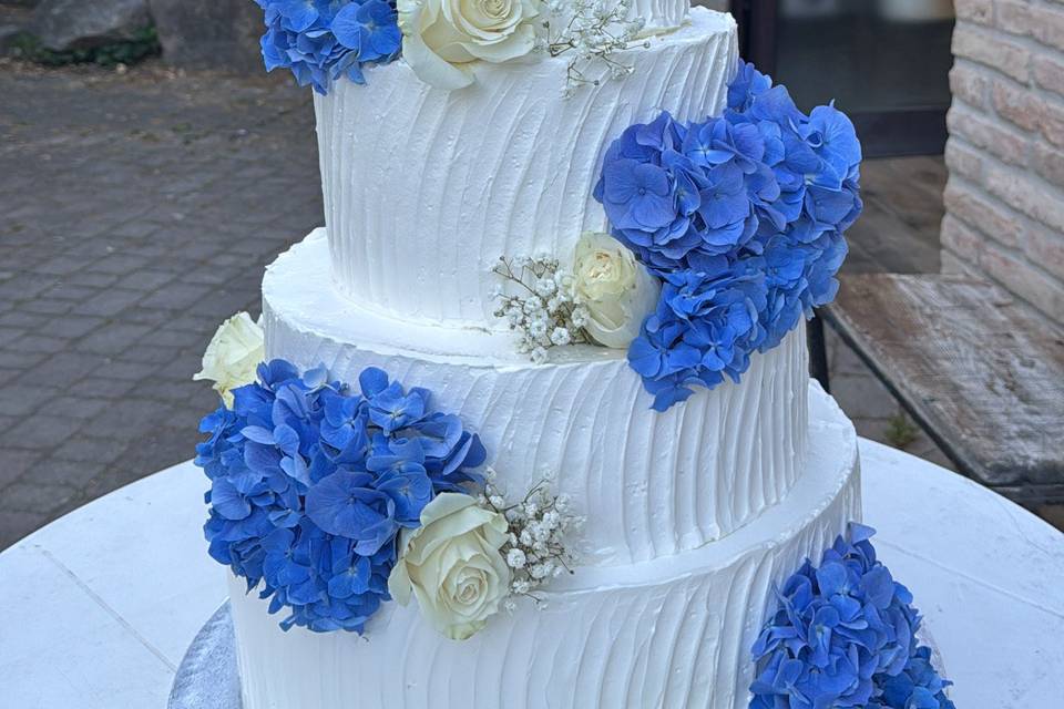 .le torte di moira