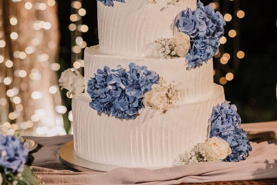 .le torte di moira