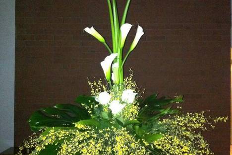 Allestimenti per eventi