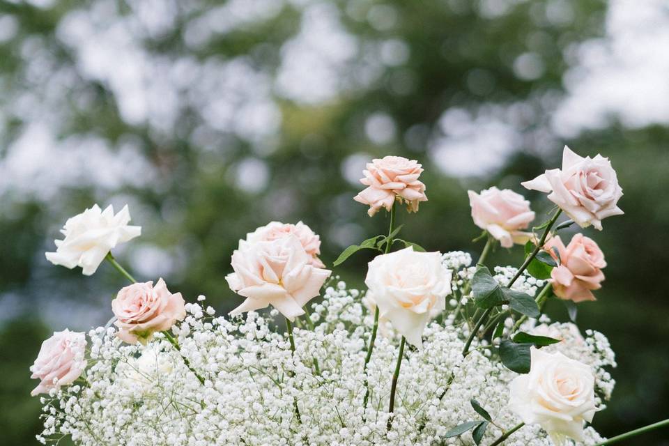 Tutto a tema, fiori compresi