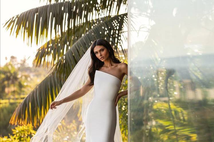 Pronovias new collection