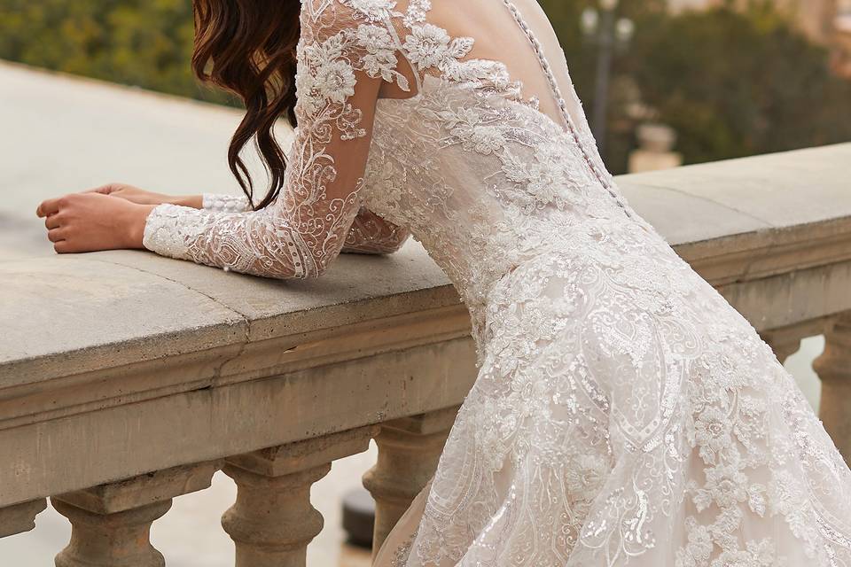 Pronovias new collection