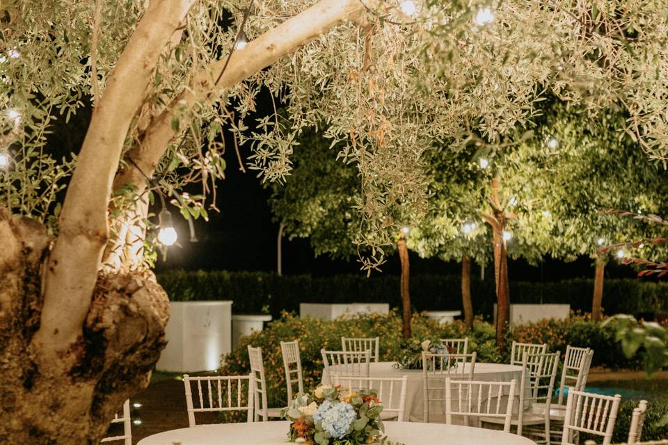 Giardino