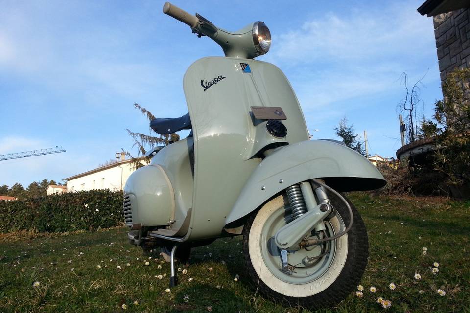 Vespa vnb1