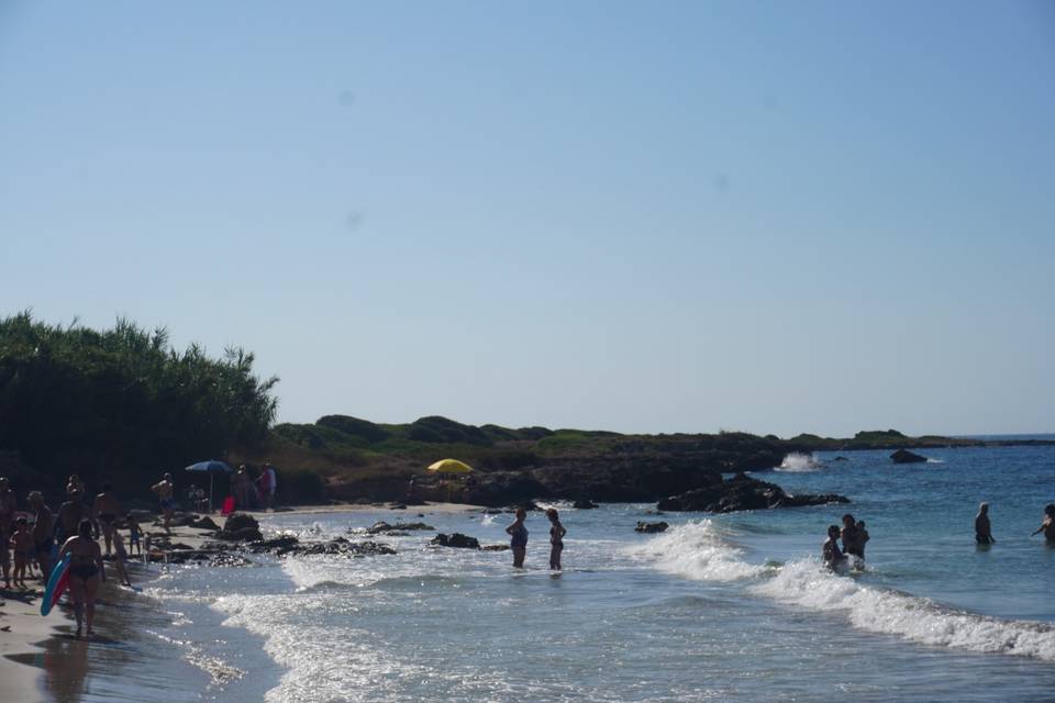 Lido marini
