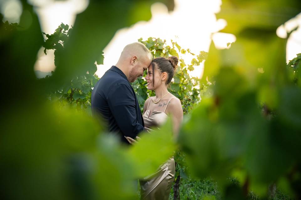 Prematrimoniale-vigne