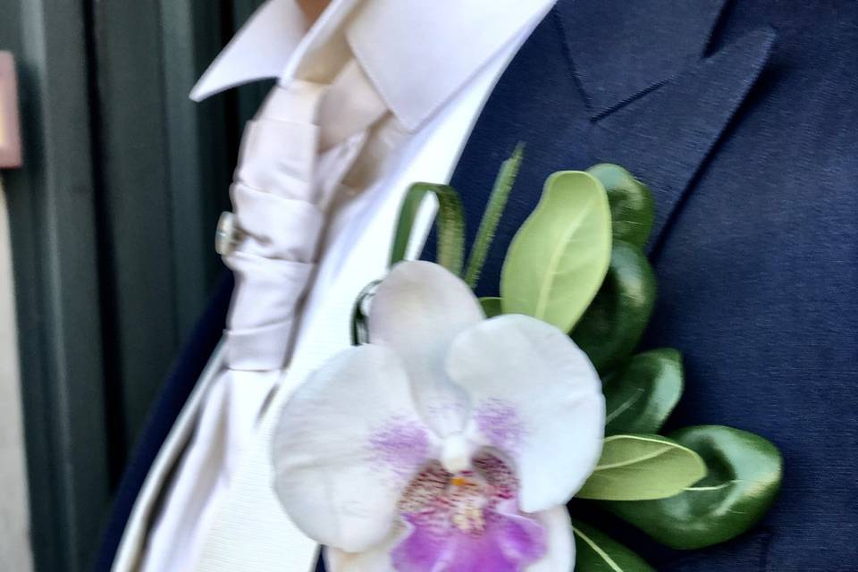 Occhiello orchidea