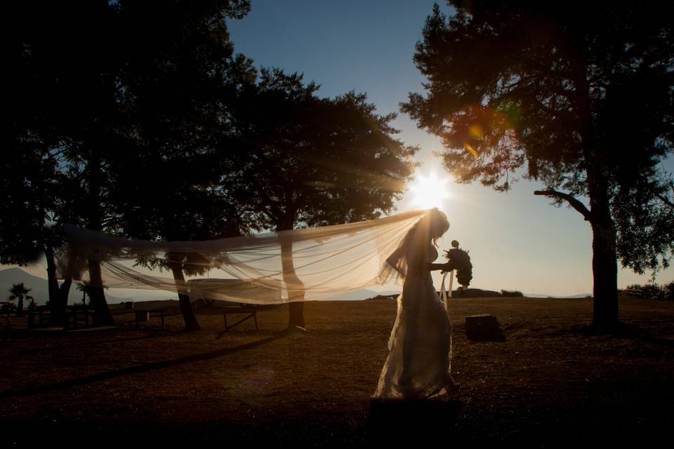 Vito D'Andrea fotografo