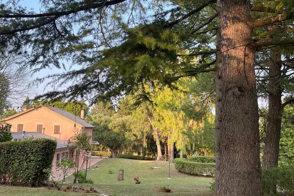 Nel verde
