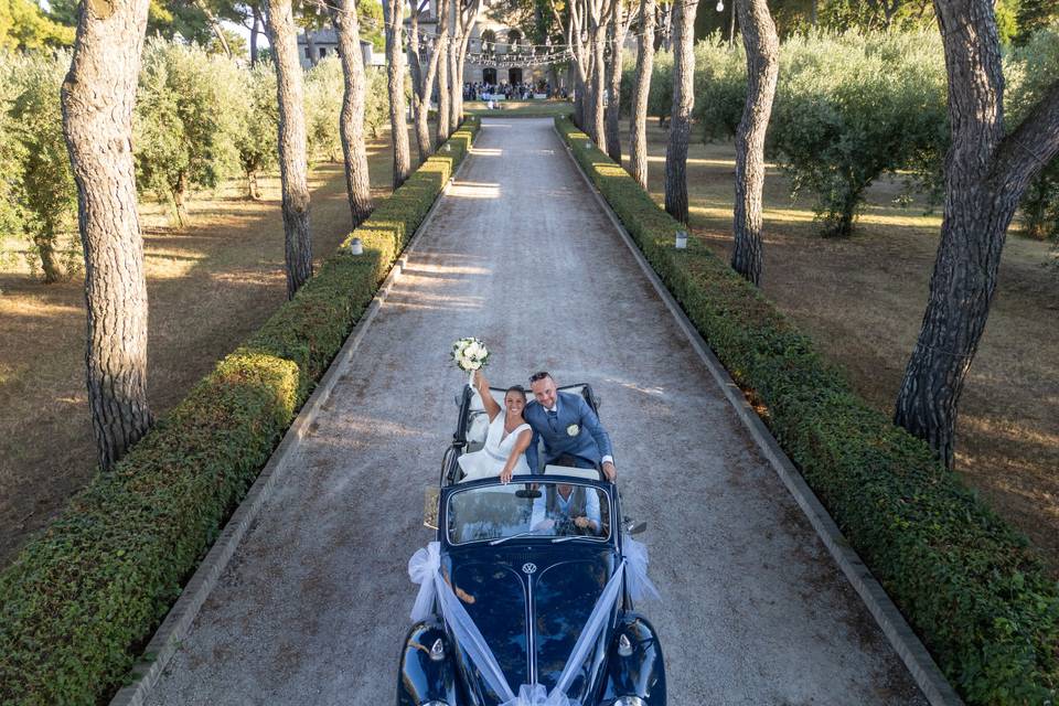 Wedding