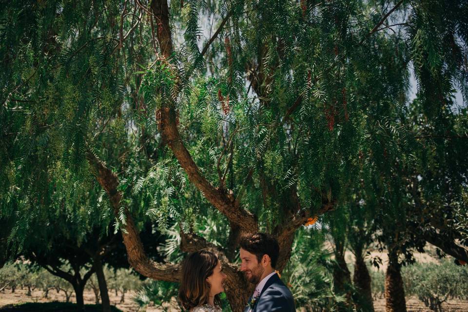 Celebrant in Sicily