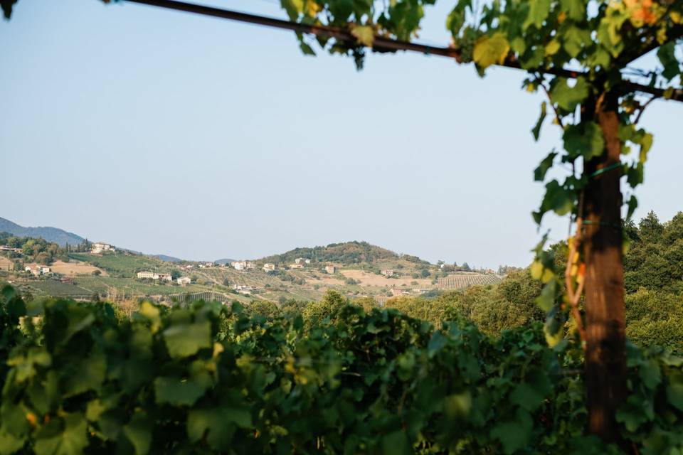 Tenuta Serradesca di Maria Acquaroli