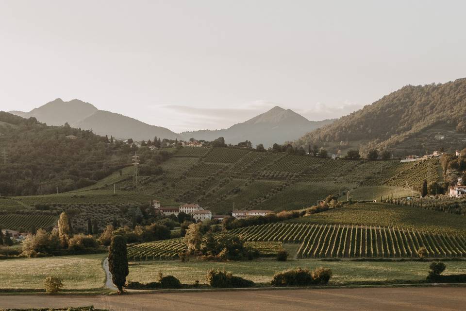 Tenuta Serradesca di Maria Acquaroli