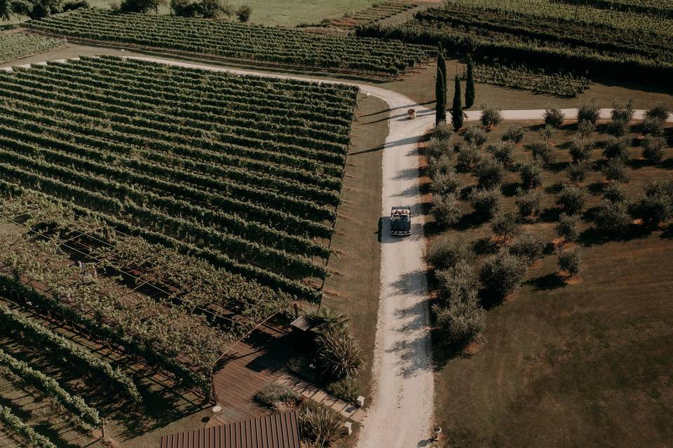 Tenuta Serradesca di Maria Acquaroli