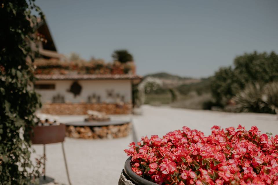 Tenuta Serradesca di Maria Acquaroli