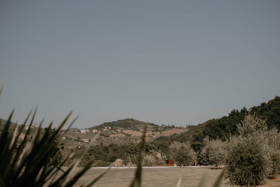 Tenuta Serradesca di Maria Acquaroli