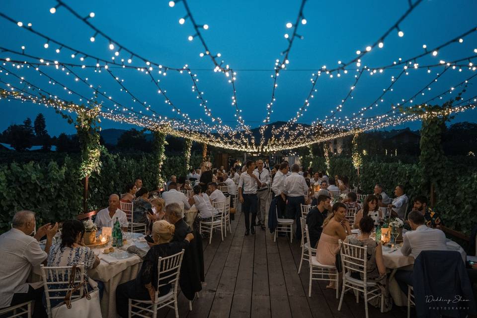 Cena nel vigneto