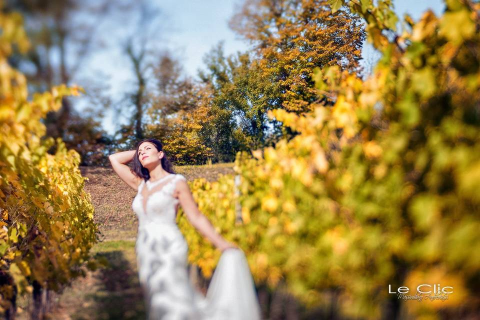 Le colline del Chianti