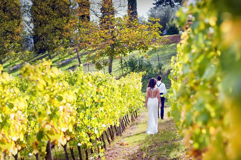 Le colline del Chianti