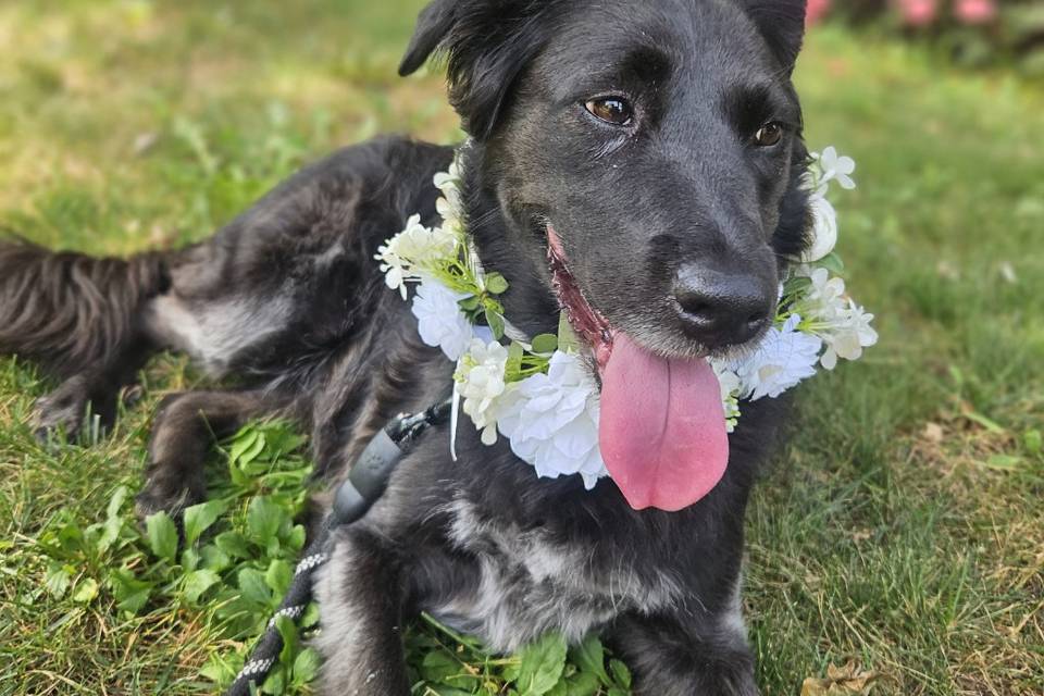 Frida