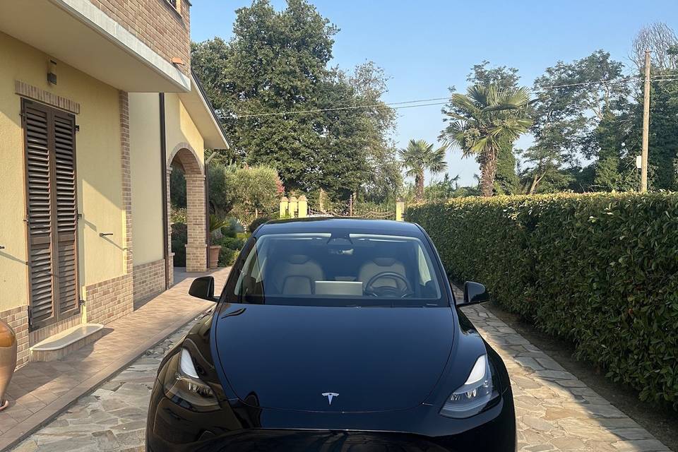 Tesla