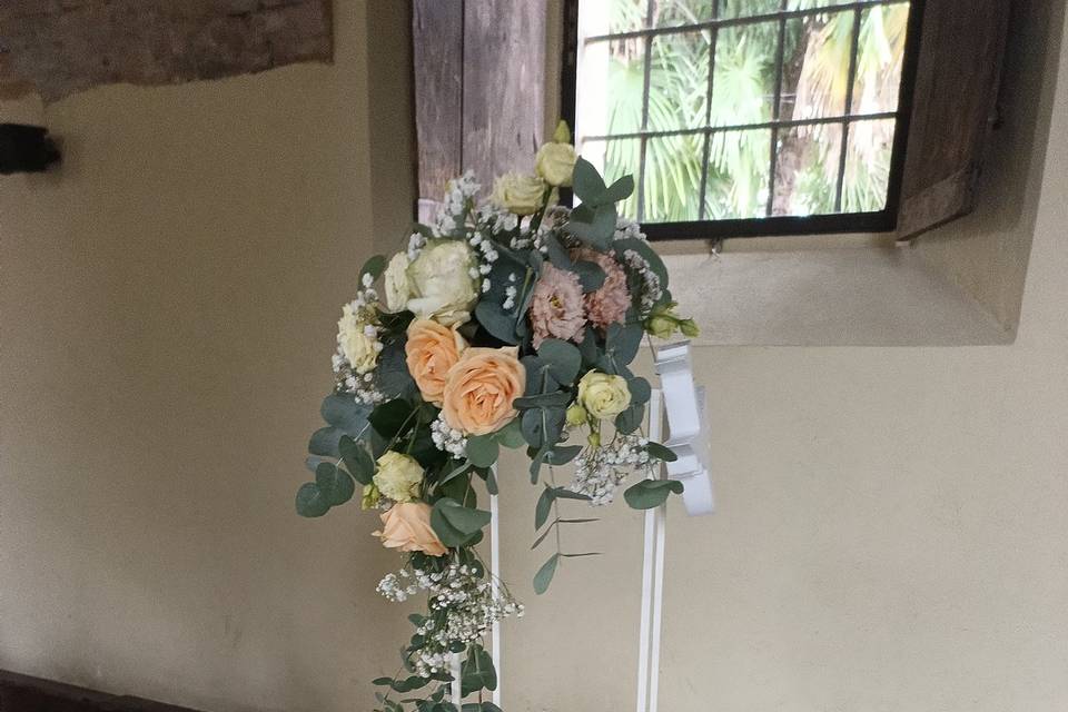 Elegante