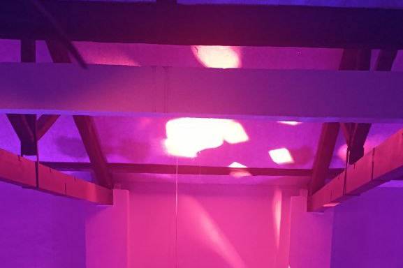 Luci evento aziendale
