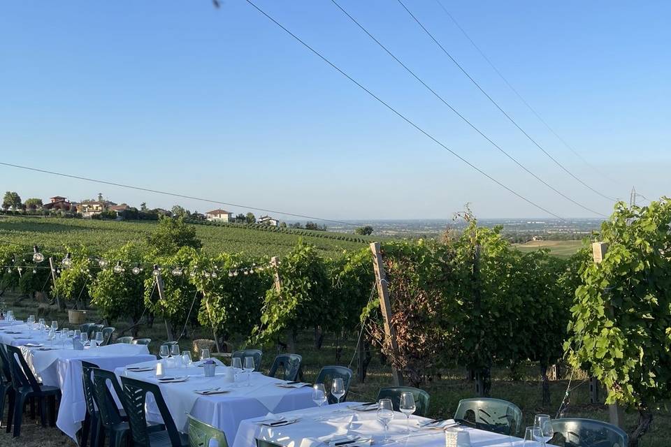 Cena in vigna