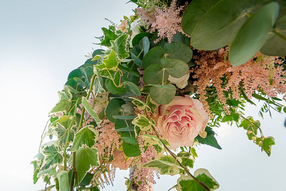 Patrizia Di Braida Floral D.