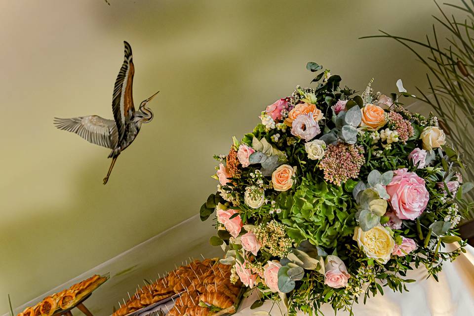 Patrizia Di Braida Floral & Event Designer