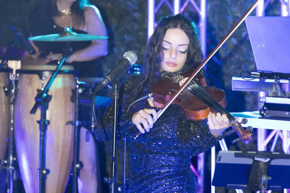 Exclusive_Event_Violin