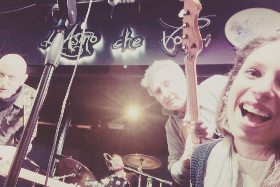 We rock and roll