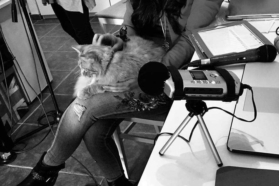 Cat's Records