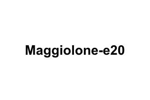 Logo aziendale Maggiolone-e20