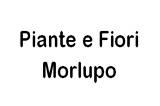 Piante e Fiori Morlupo logo