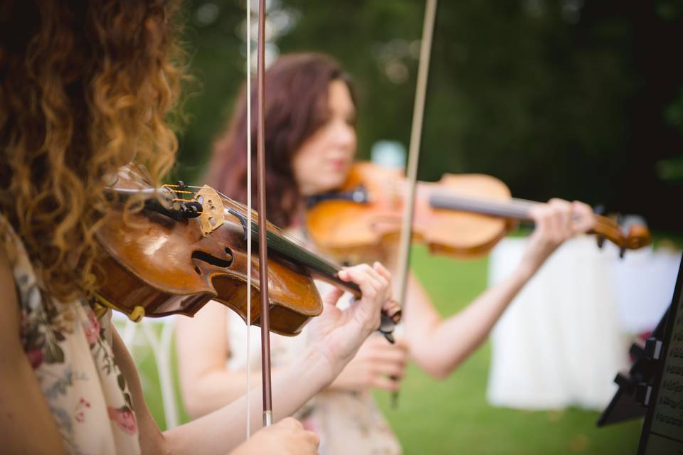 Elegance String Quartet