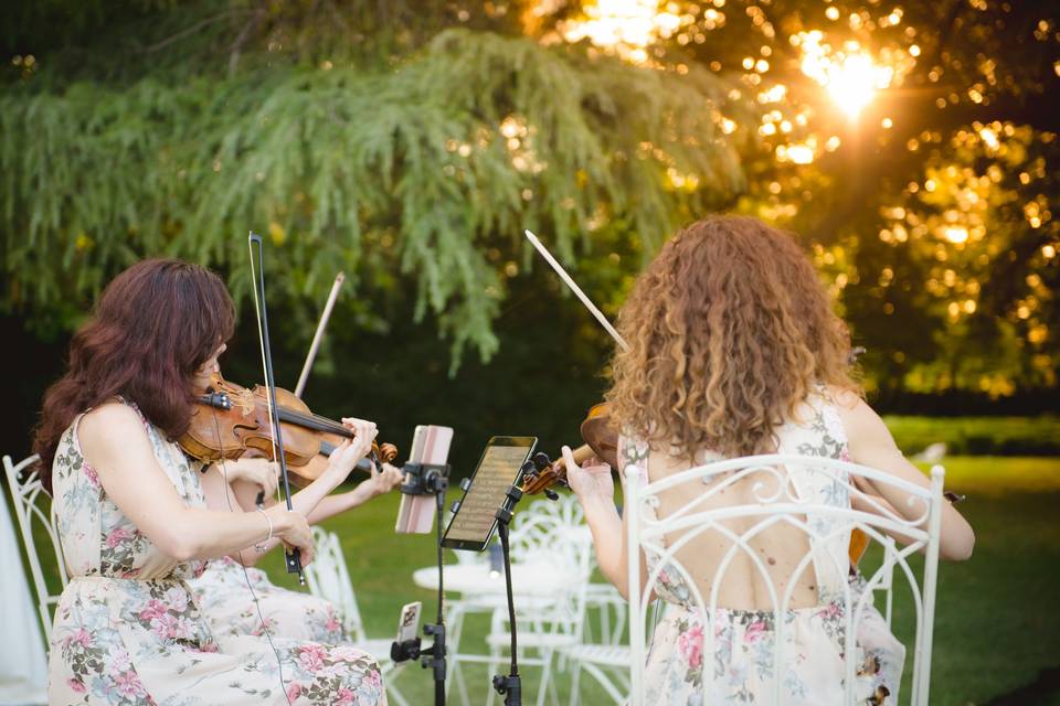 Elegance String Quartet