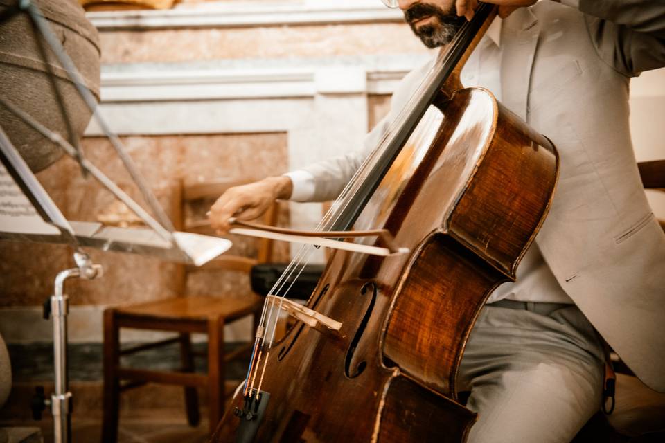 Violoncello