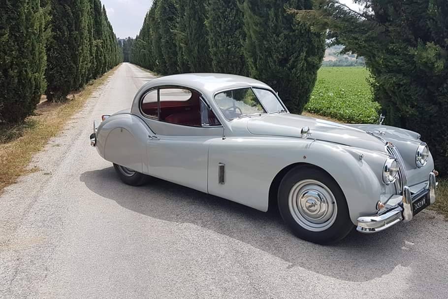 Jagauar XK 140 (1956)