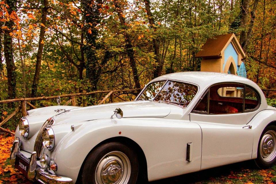 Jaguar XK 140 FHC (1956)