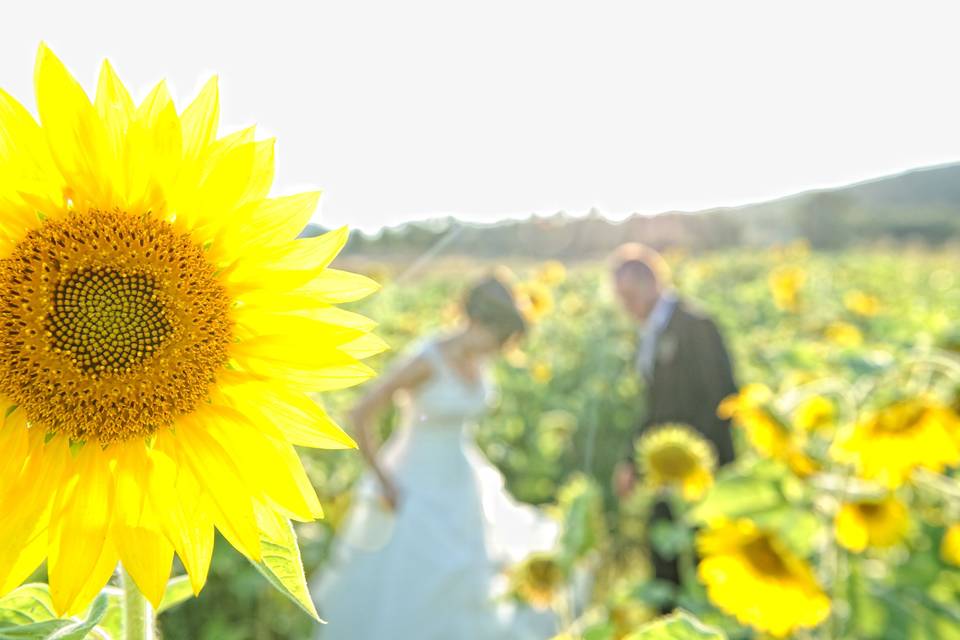 Franca e Fabio Fotografi di Famiglia