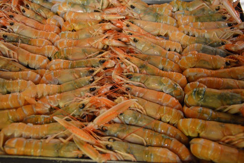 Gli scampi