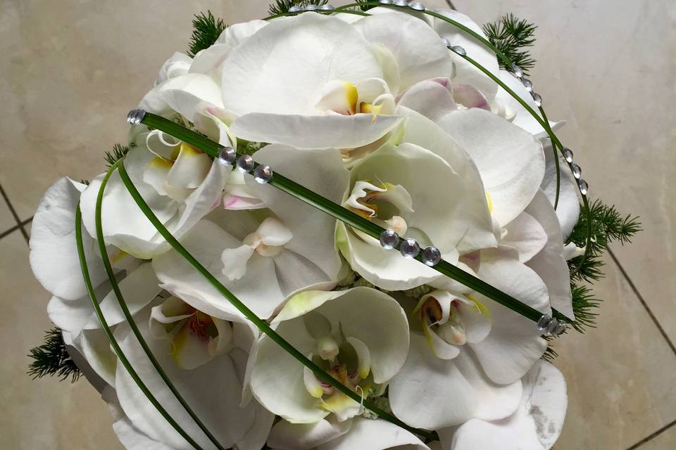 Bouquet Phalaenopsis