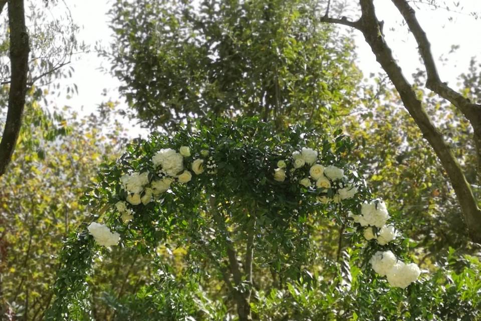 Maria Vittoria Pesino Flowers