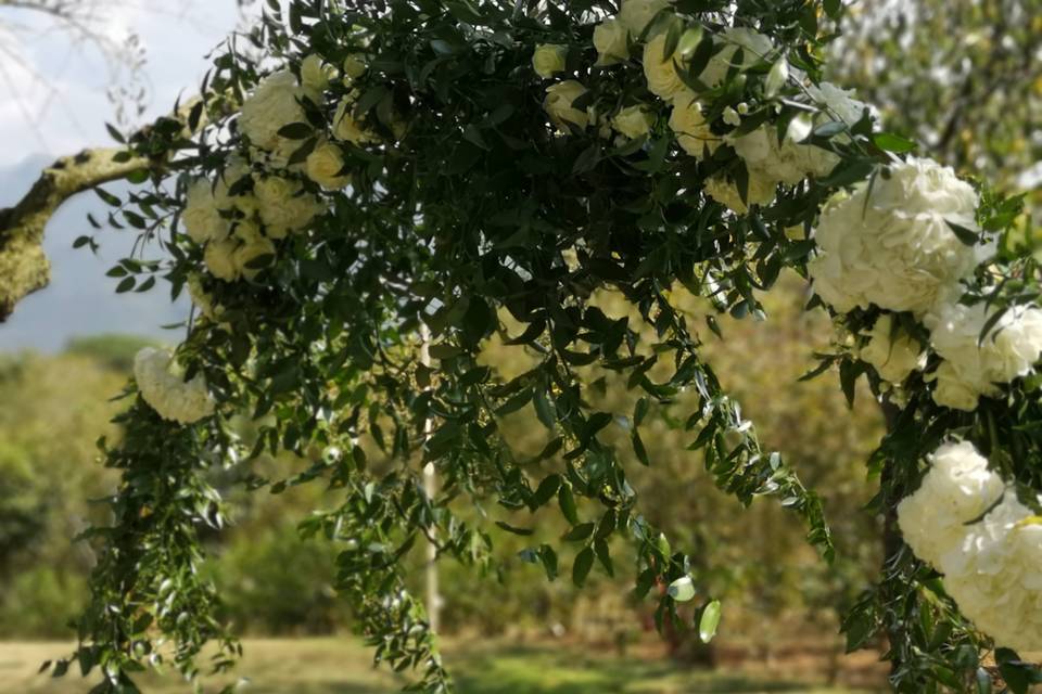 Maria Vittoria Pesino Flowers