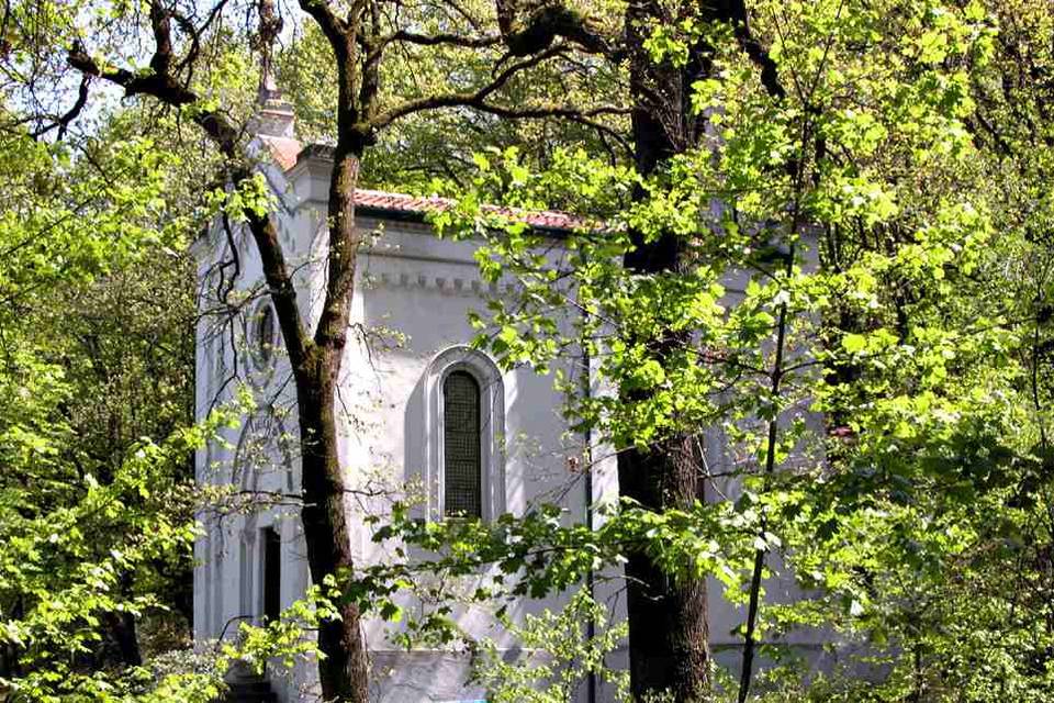 Grand Hotel Terme di Riolo