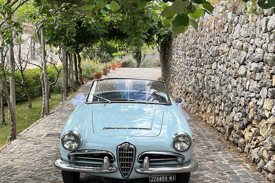 Giulia spider