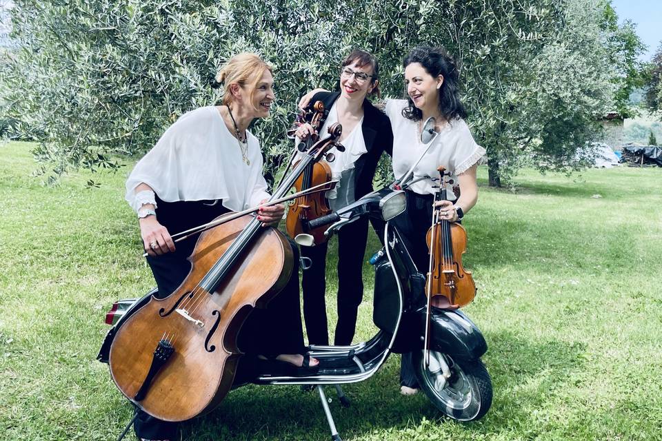Rose string Trio