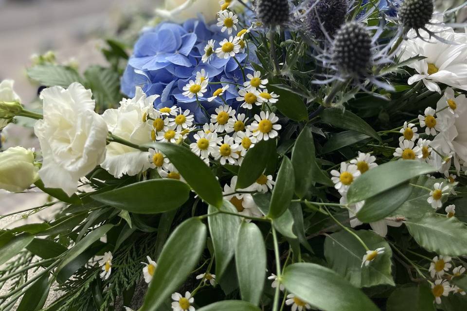 Profumo di Lavanda